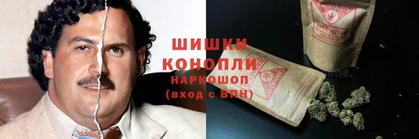 spice Арсеньев