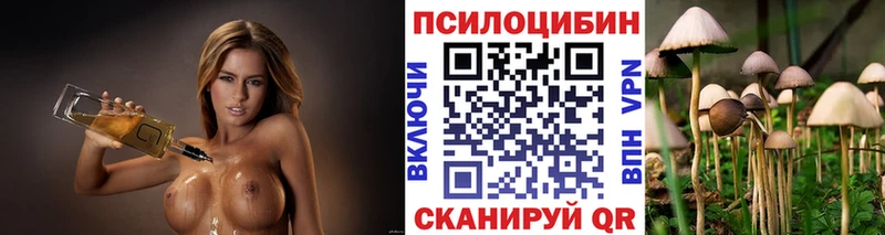Купить где  Жирновск  Псилоцибиновые грибы прущие грибы 
